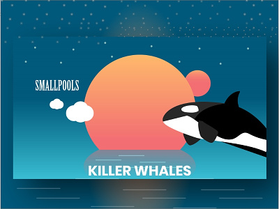Smallpools - Killer Whales illustration killer whales marine music shark smallpools stars sunset whales