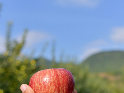 Apple in nature