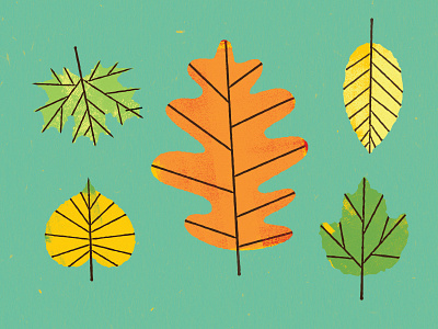 New Leaf autumn illustration leaf leaves