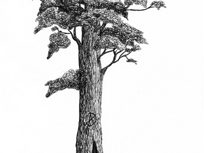 Tree Illustration