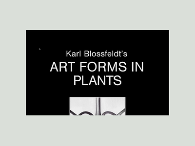 Art Forms in Plants animation art black black white editorial editorial design kinetic type photography readymag
