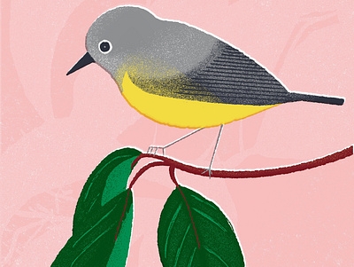 Pantone color of the year bird bird illustration colorful digital art illustration