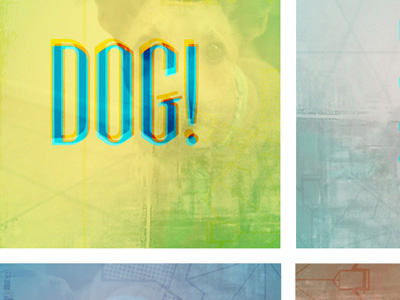 Dog. color dog grid type