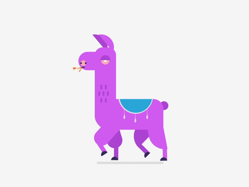 Run Llama, Run! 2d adobe after effects animation design illustration llama motion design motion graphics run