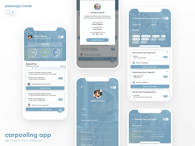 Casten (Passenger) app carpool carpooling design ios mobile app ui uiux ux webdesign
