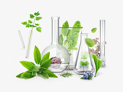 Pharmacy Herb Mixes green herb key visual kv laboratory leaf pharmacy visual