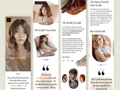 Wella Showcase for SelectWorld Ad Agency Website