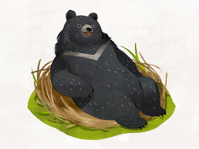 Taiwan Black Bear Illustration