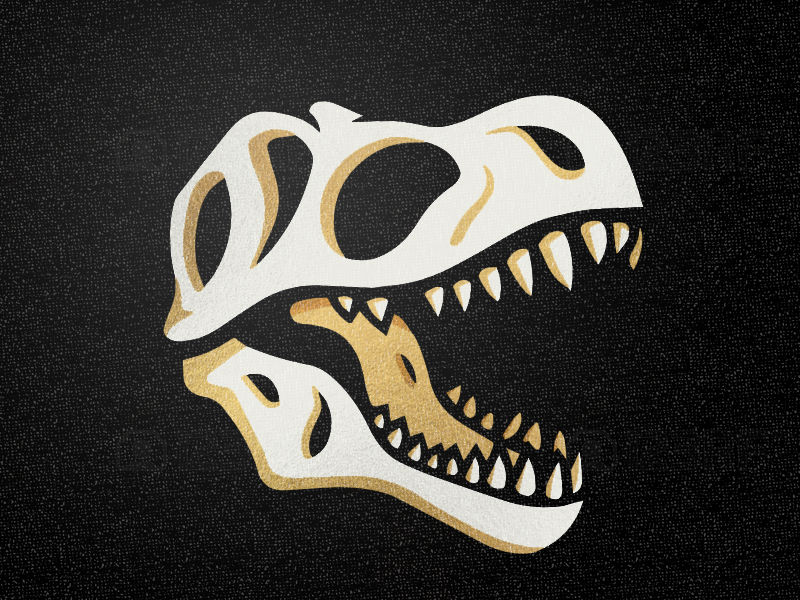 t rex head skull