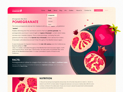 Pomegranate blog facts fruit illustration pomegranate web webdesign website