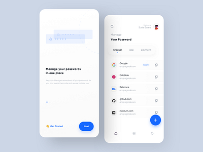 Password Manager App Concept