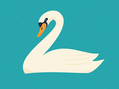 White Swan affinity designer bird birds character design design illustration lake vector