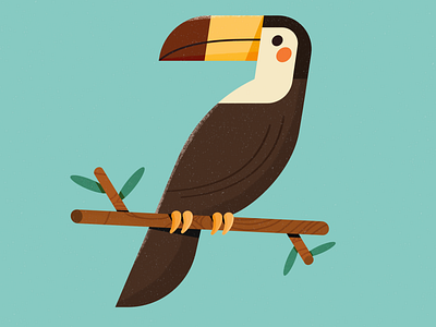 Toucan affinity designer bird bird illustration birds character design design forest illustration vector