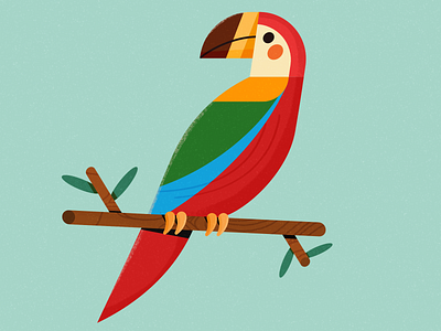 Parrot affinity designer bird birds character animation character design design geometric illustration parrot vector