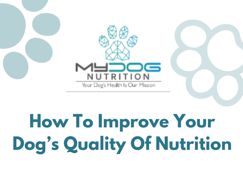 How To Improve Your Dog’s Quality Of Nutrition by My Dog Nutrition on