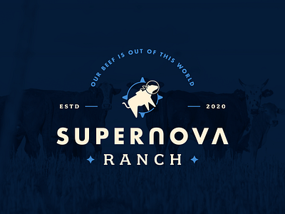 Supernova Ranch badge branding design farm flat graphic design identity illustration logo trendy