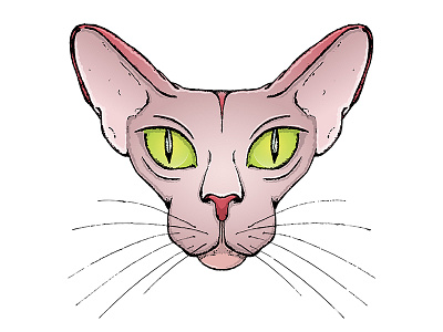 Sphinx Sticker animal cartoon cartoon illustration cat character design circle eyes illustration pink sphinx vector vector animal