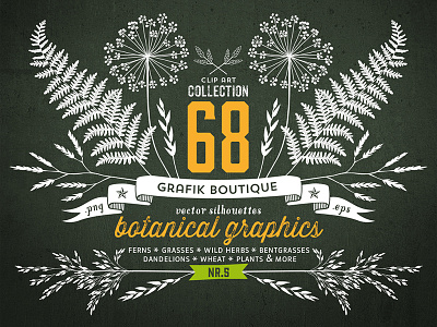 Vector floral design elements. botanical clip art dandelion ferns greenery handrawn herbs silhouette vector