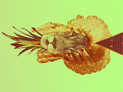 Lions collage graphic design handmade lion