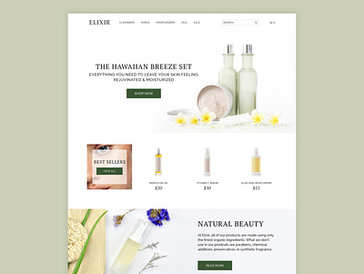 Elixir web web design webdesign website website design