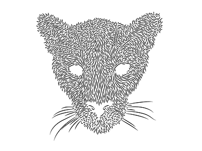 Mountain Lion animals black white design illustration line mountain lion whiskers