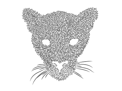 Mountain Lion