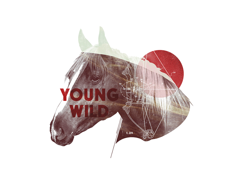 YoungWild Concept Art 03 young wild arrowhead ram deer horse animals tv show arrow bow typography photo collage hunting