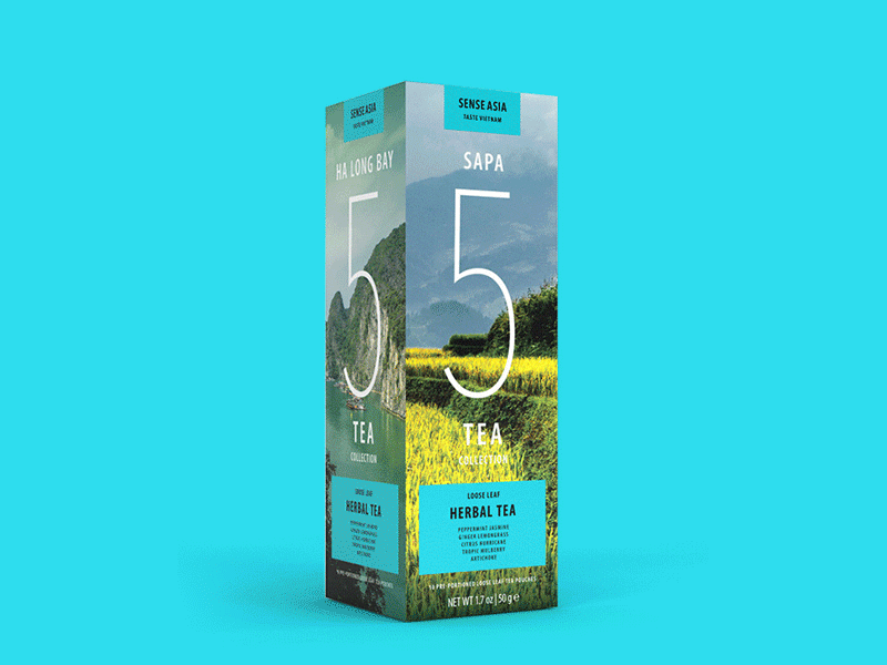 Vietnam Delights black tea green tea herbal package design packaging tea vietnam