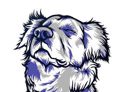 Rayo - Work in progress brush dog hair illustration shadows vector wacom