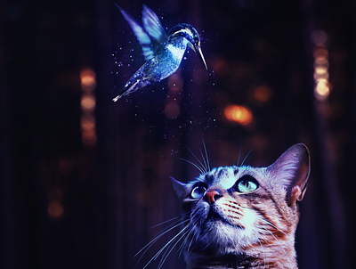 It gives a beauty to life animals artwork bird blue cat eyes forest light magic manipulation night photo manpulation