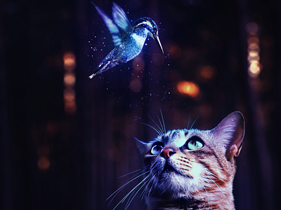 It gives a beauty to life animals artwork bird blue cat eyes forest light magic manipulation night photo manpulation