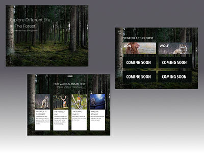 Animal Education Web. graphic design ui