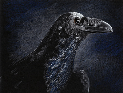 Nevermore colored pencil dark art death horror illustration macabre memento mori messenger omen portrait raven traditional media wildlife