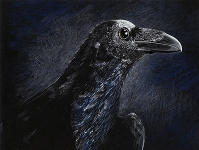 Nevermore by Art of the Vulture on Dribbble