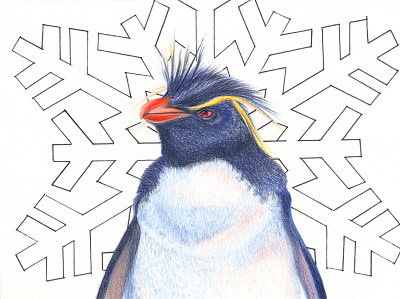 The Penguin animal arctic colored pencil illustration ink penguin portrait traditional media wildlife