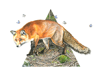Forest Shadow Series Triangle coloured pencil environment fox geometric triangle