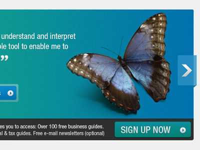 Butterfly arrows blue butterfly button colour green masthead website