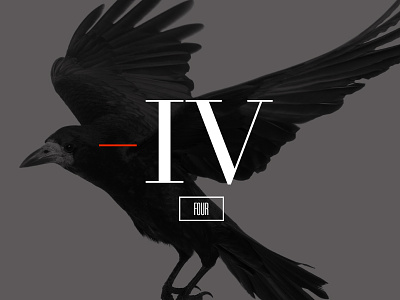 Four - Snippet banner bird didot four typography univers