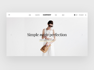 Homepage clean ecommerce minimal pixelunion theme typography