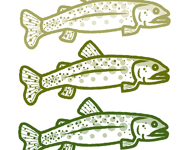 Green Fish adobe adobe illustrator fish fishing illustration illustrator