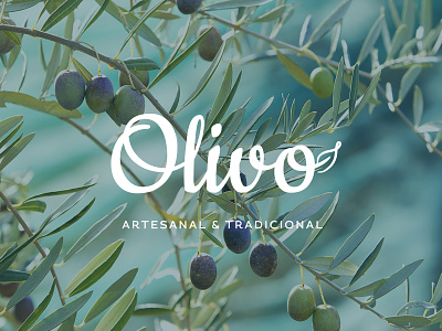 Olivo Logo artesanal branding color design graphic design logo olive olivo traditional type typography