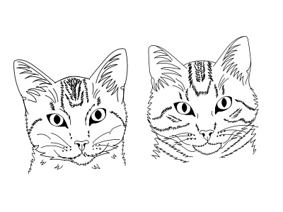 Set of Custom Cat Drawings cat cat drawing cat illustration cats custom drawing drawing illustration illustrations tabby cats vector