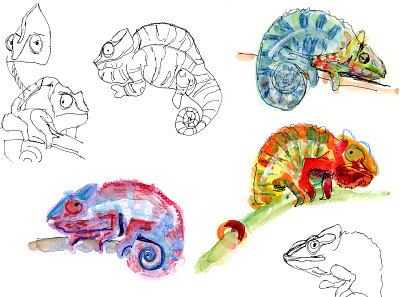 Chameleon Study chameleon drawing illustration mixed media sketch study watercolor