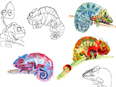 Chameleon Study