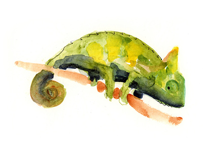 Chameleon Study chameleon drawing illustration lizard painting study watercolor