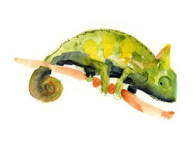 Chameleon Study