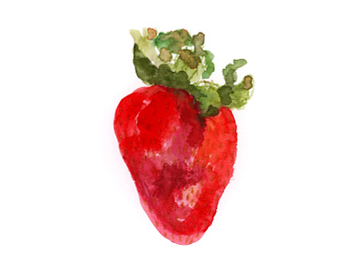 Strawberry Study custom drawing drawing fruit illustration painting sketch strawberries strawberry