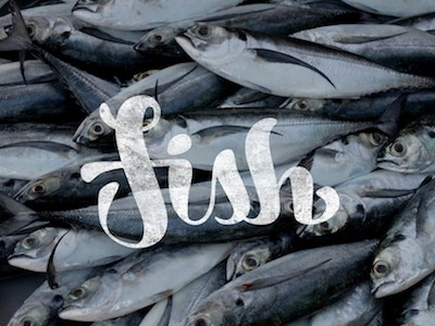 Fish fish lettering photography type typography