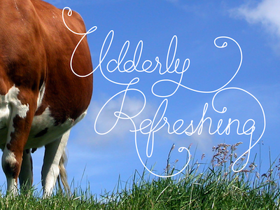 Udderly Refreshing cow hand drawn lettering milk pun refreshing udder