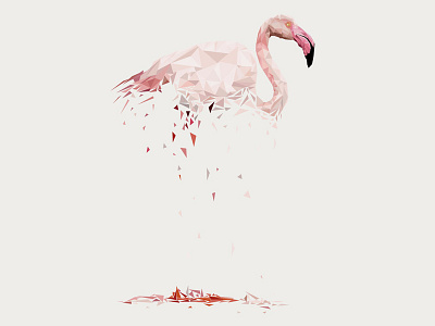 flamingo animal destroy flamingo flat